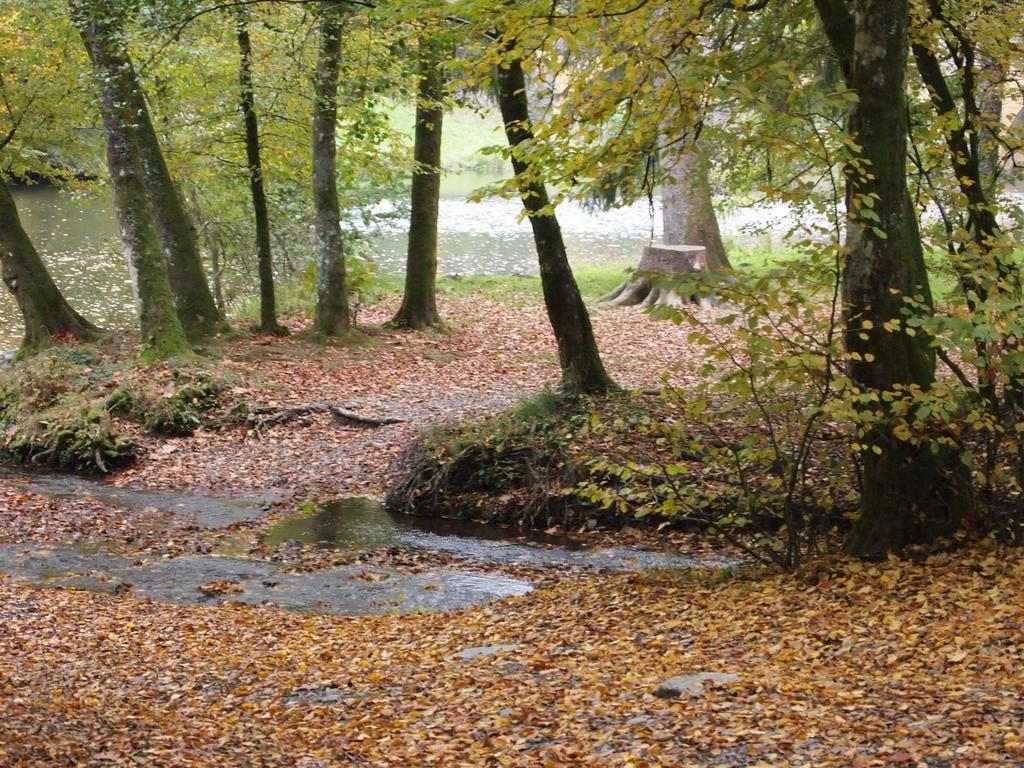 Campsite Le Canada-insolite Chiny